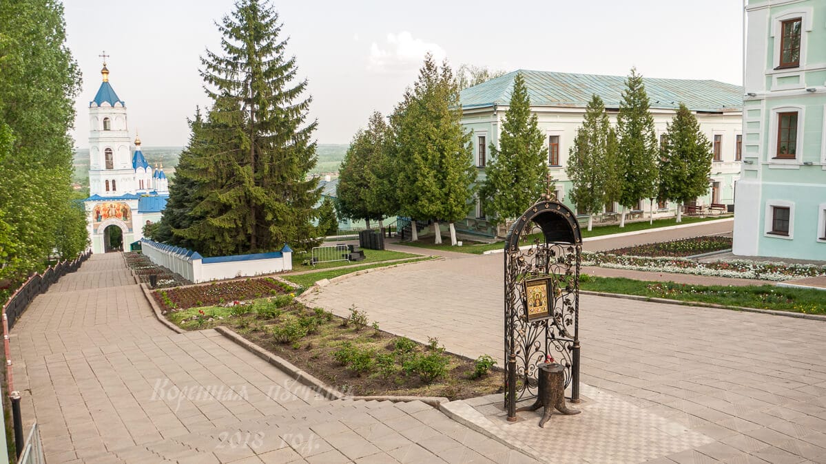 курская коренная